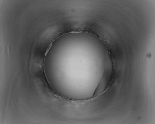 X0000090770033200708031702