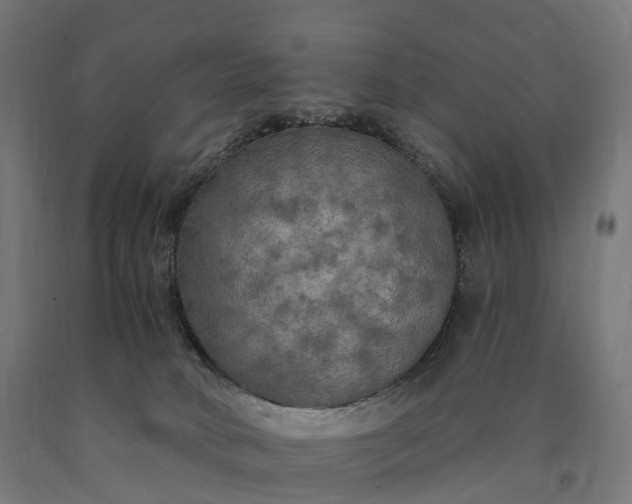 X0000090770034200708031702