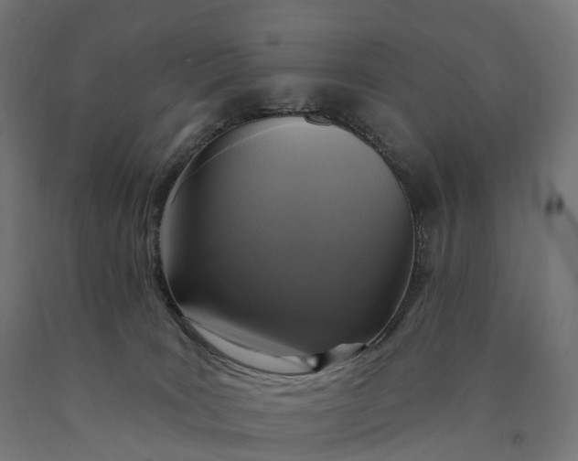 X0000090770035200708031702