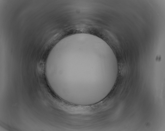 X0000090770036200708031702