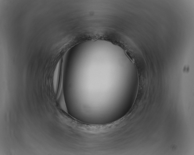 X0000090770037200708031702