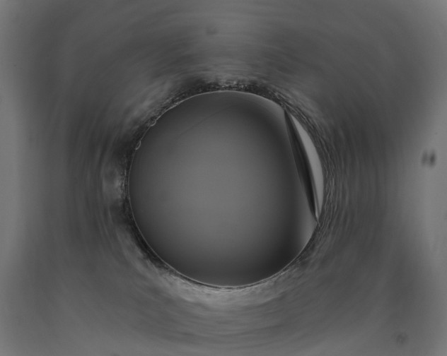 X0000090770039200708031702