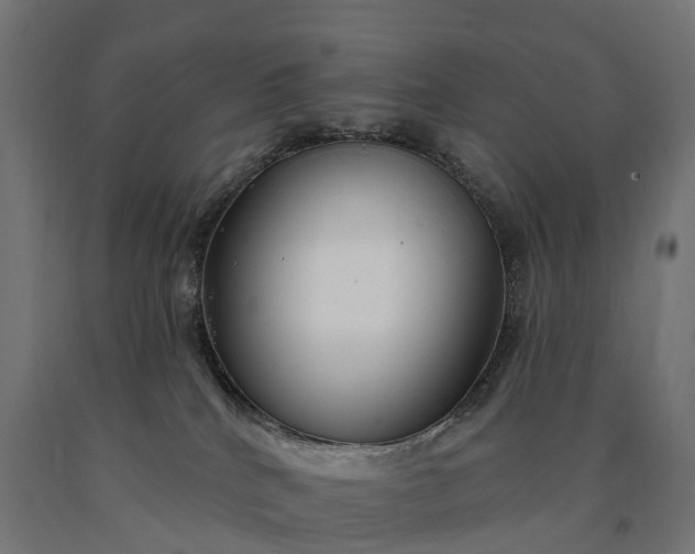 X0000090770040200708031702