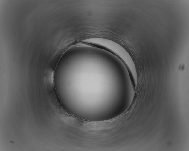 X0000090770041200708031702