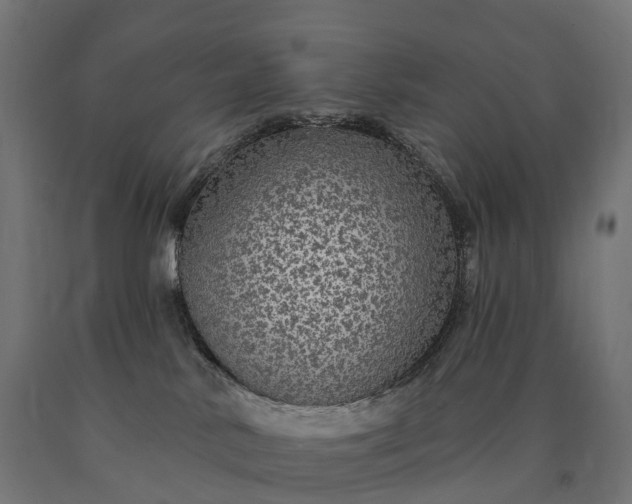 X0000090770042200708031702