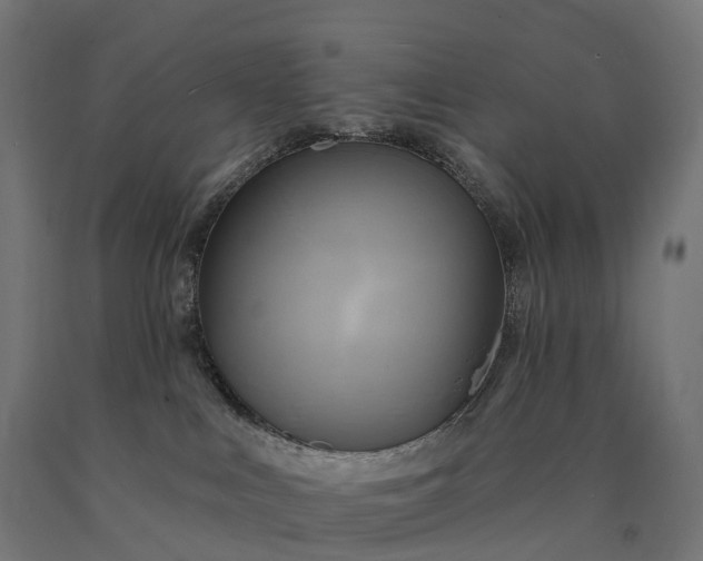X0000090770043200708031702