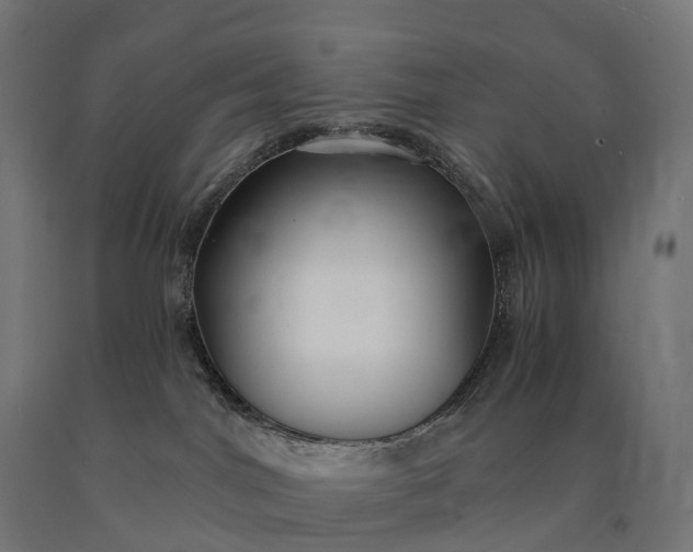 X0000090770044200708031702