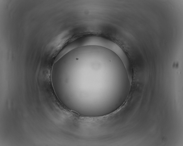 X0000090770045200708031702