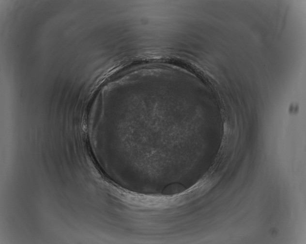 X0000090770048200708031702