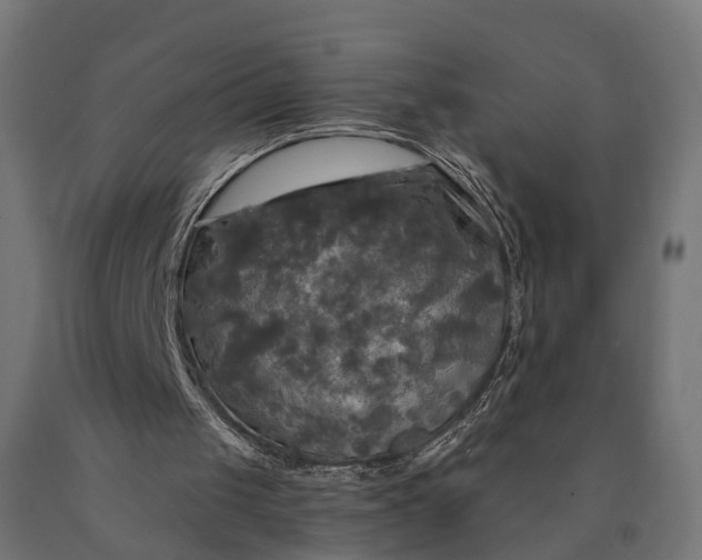X0000090770049200708031702
