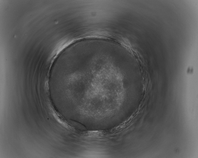 X0000090770050200708031702