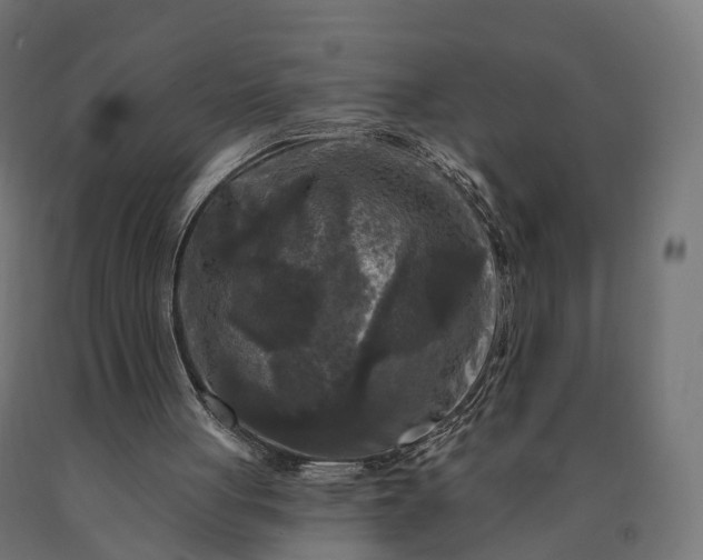 X0000090770051200708031702