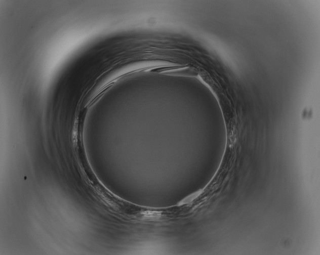 X0000090770052200708031702