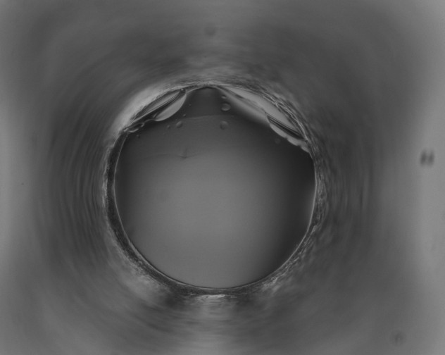 X0000090770054200708031702