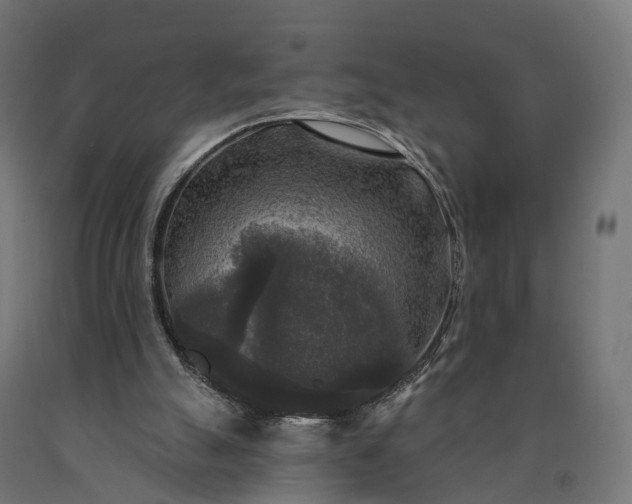X0000090770055200708031702