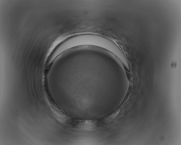 X0000090770056200708031702