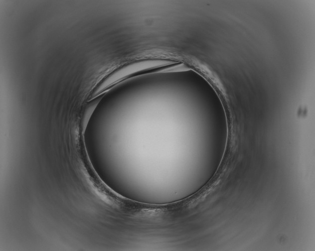 X0000090770057200708031702