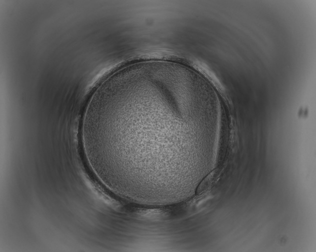 X0000090770058200708031702