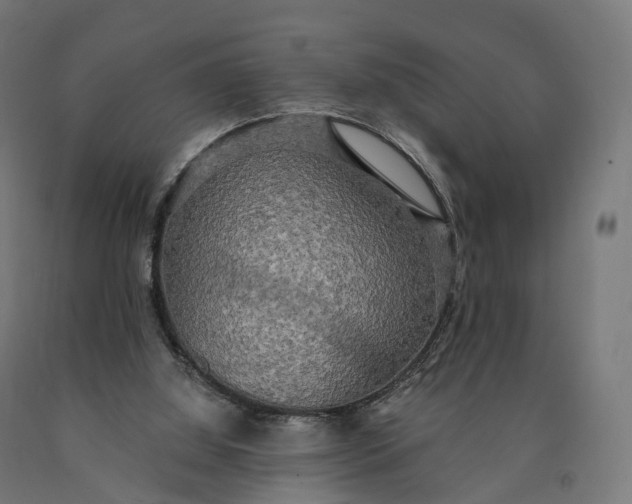 X0000090770060200708031702