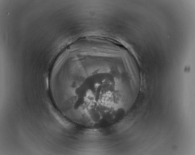 X0000090770061200708031702