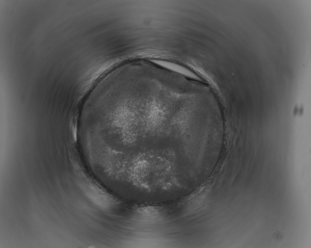 X0000090770062200708031702