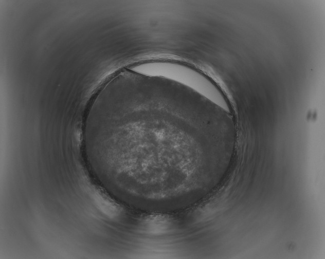 X0000090770063200708031702