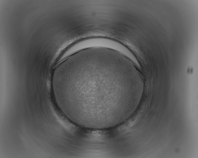 X0000090770064200708031702