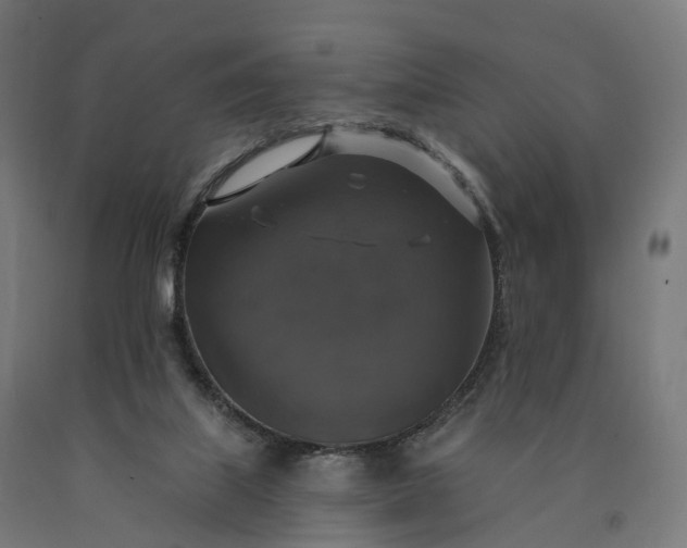X0000090770067200708031702