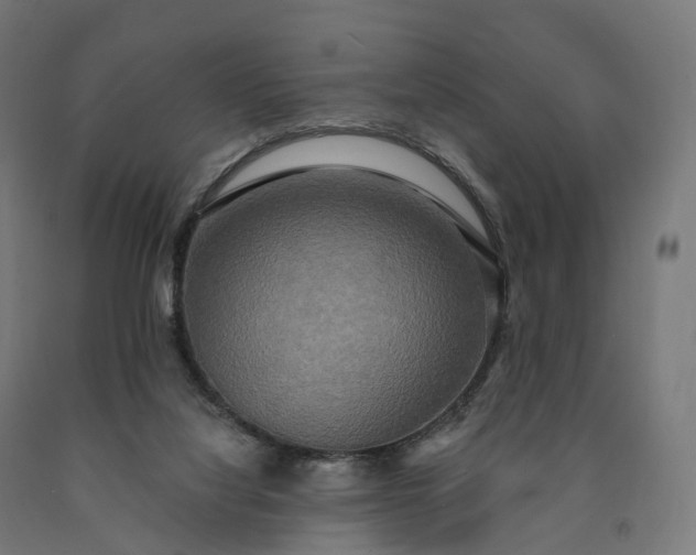 X0000090770068200708031702