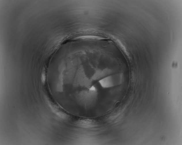 X0000090770069200708031702