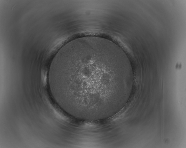 X0000090770070200708031702