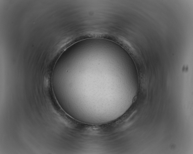 X0000090770071200708031702