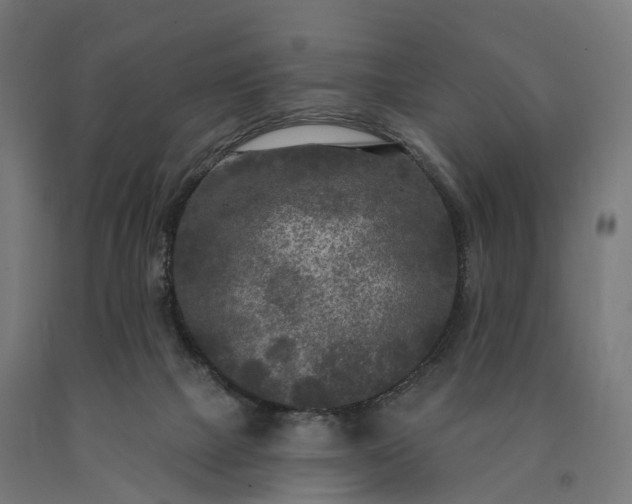 X0000090770073200708031702