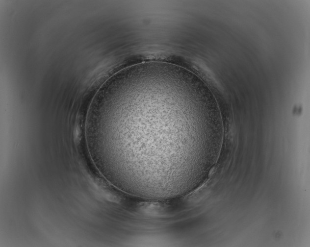 X0000090770074200708031702