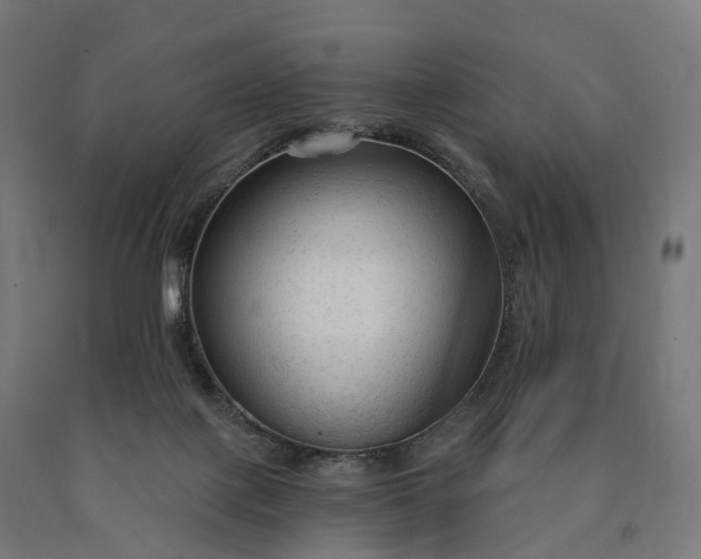 X0000090770075200708031702