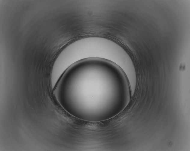 X0000090770076200708031702