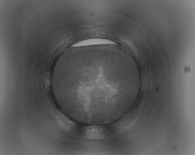 X0000090770077200708031702
