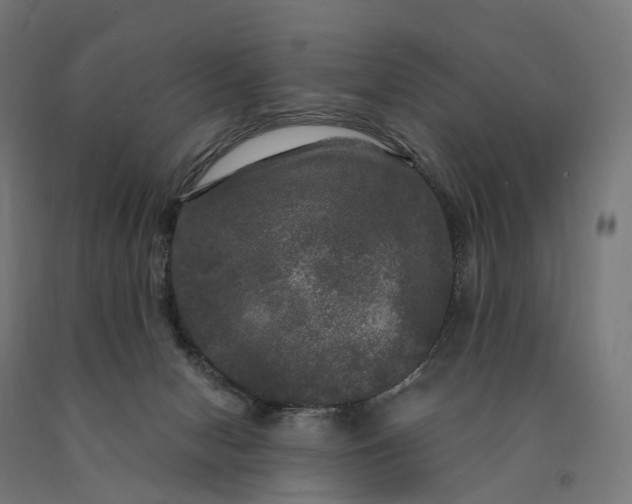 X0000090770078200708031702
