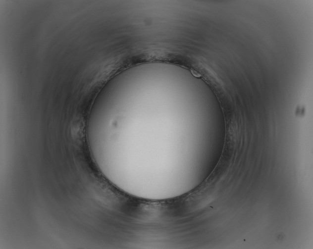 X0000090770079200708031702