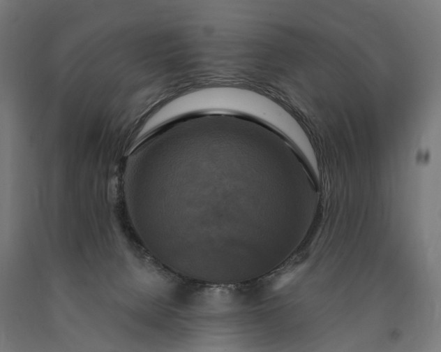 X0000090770080200708031702