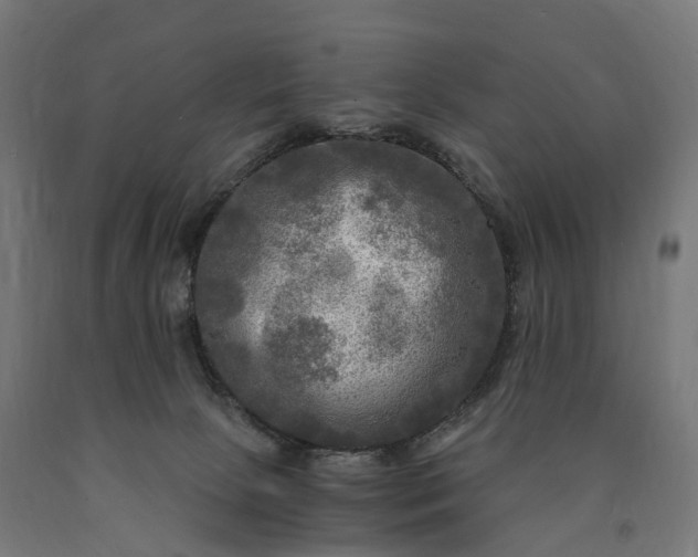 X0000090770081200708031702
