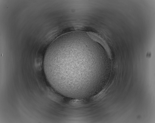 X0000090770082200708031702