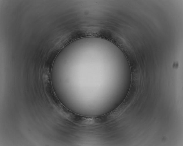 X0000090770083200708031702