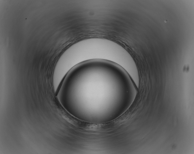 X0000090770084200708031702
