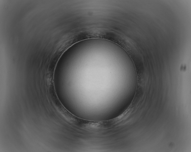 X0000090770086200708031702