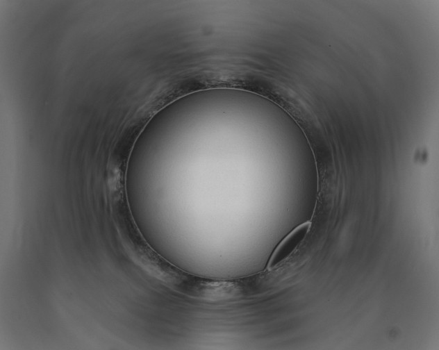 X0000090770087200708031702
