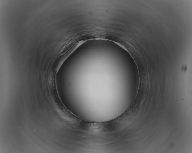 X0000090770088200708031702