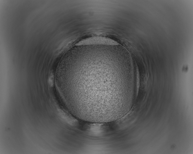 X0000090770090200708031702