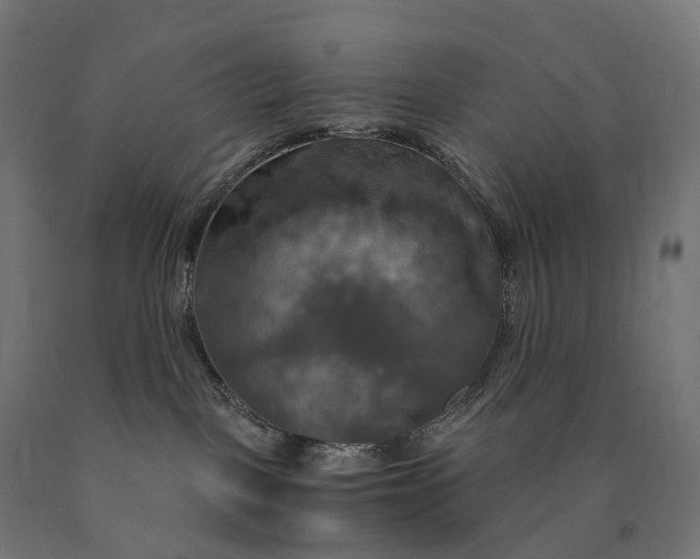 X0000090770093200708031702