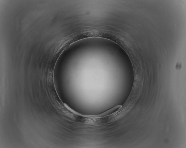 X0000090770096200708031702